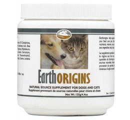 EarthOrigins